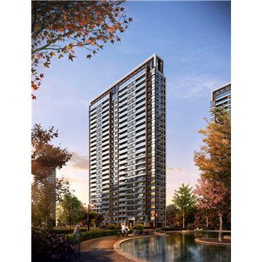 s-372-373-201911261006593658681