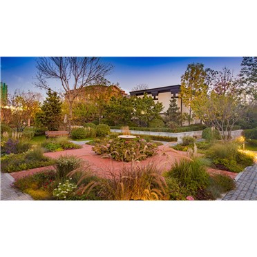 s-372-373-201911281721159040380