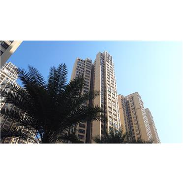 s-372-373-201911291622454903281