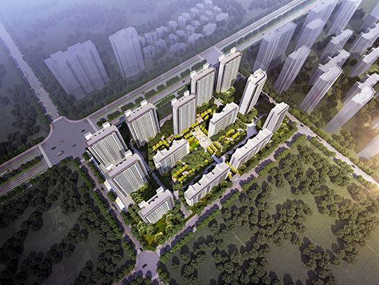 s-545-409-201911260942558689769