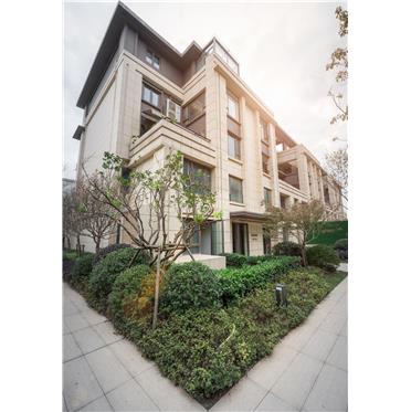 s-372-373-201912021653481589496