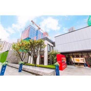 s-372-373-201912021718218969534