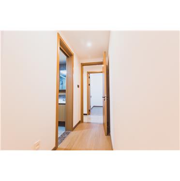 s-372-373-201912021719539843924