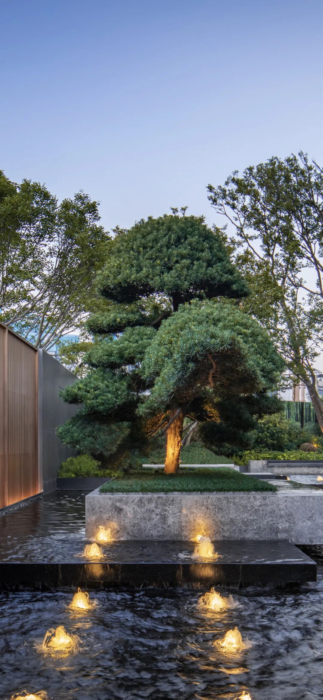 202304101009562242424