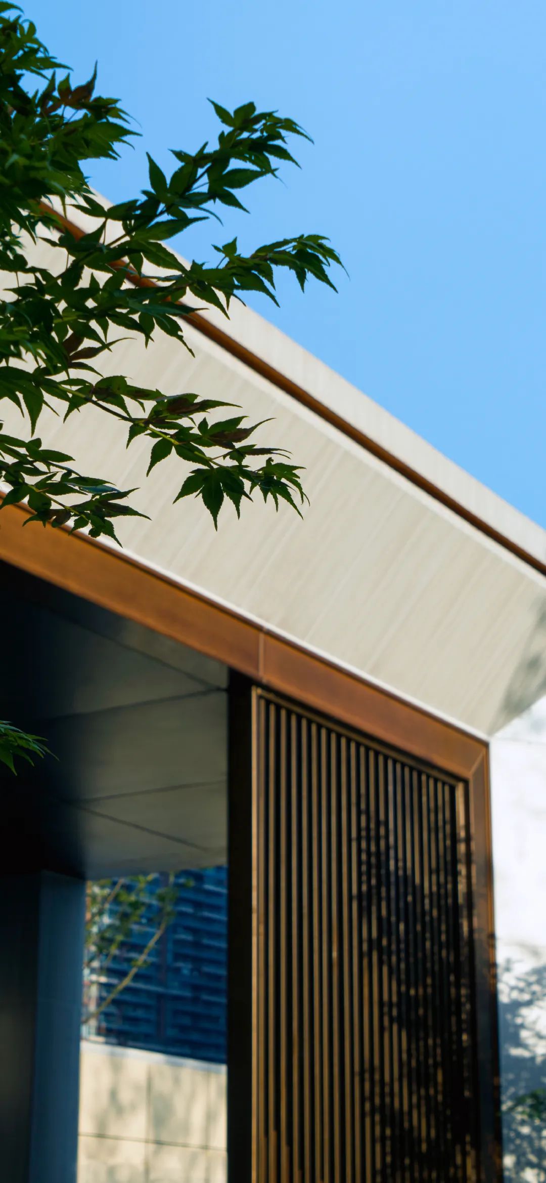 202304101010032643236