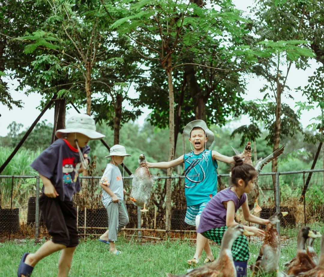 202308251533398446690