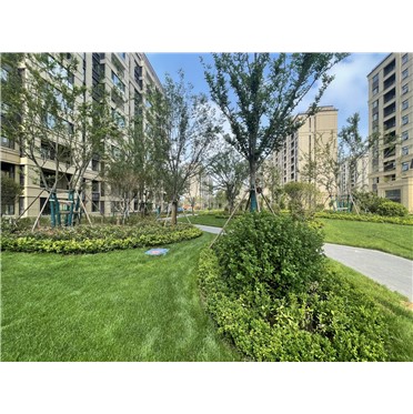 s-372-373-202308161830364398299