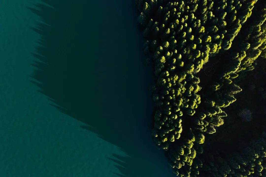 202310191454086699653