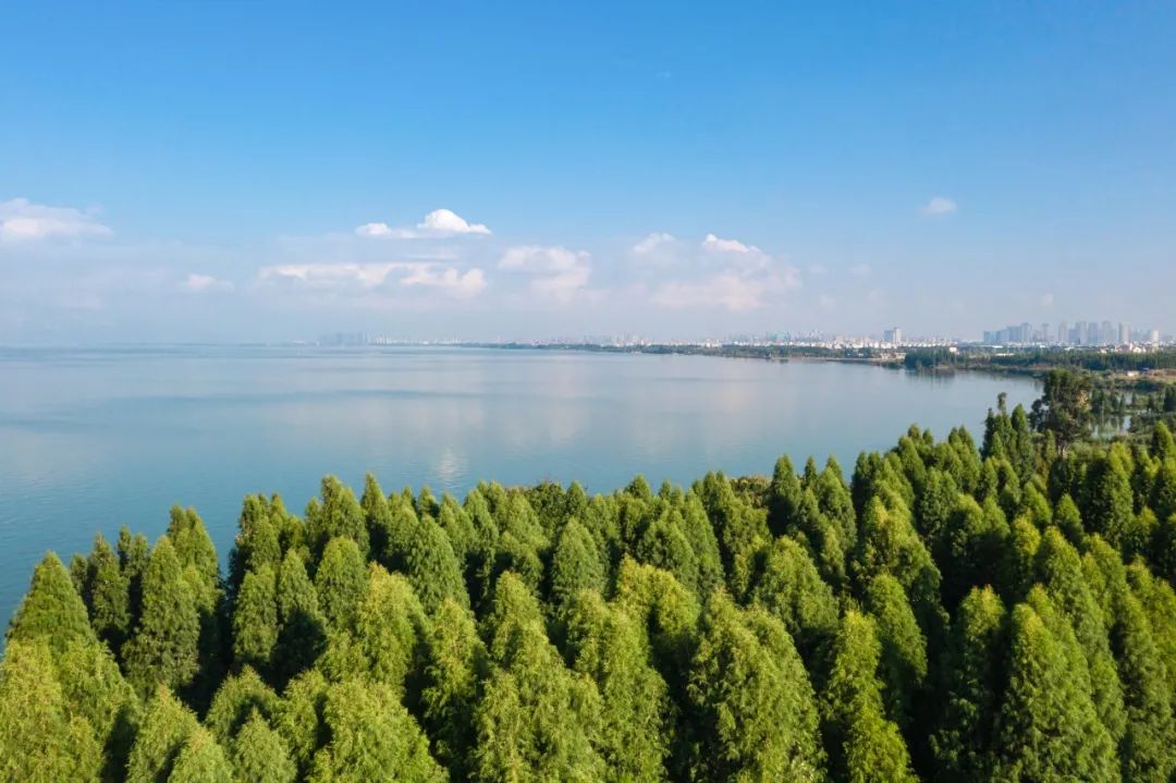 202310191454086855614