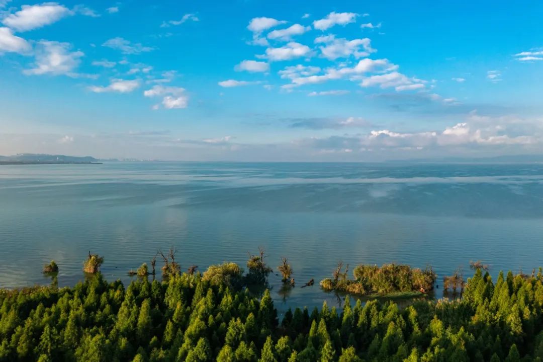 202310191454091074429