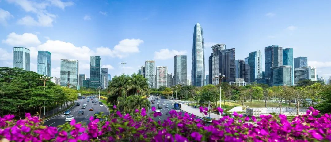 202310271610159824555