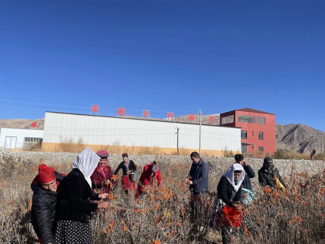 202402221723585915533