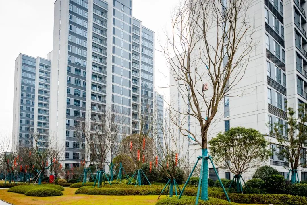 202403041552117318350