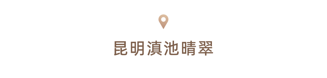 202403041552148567931