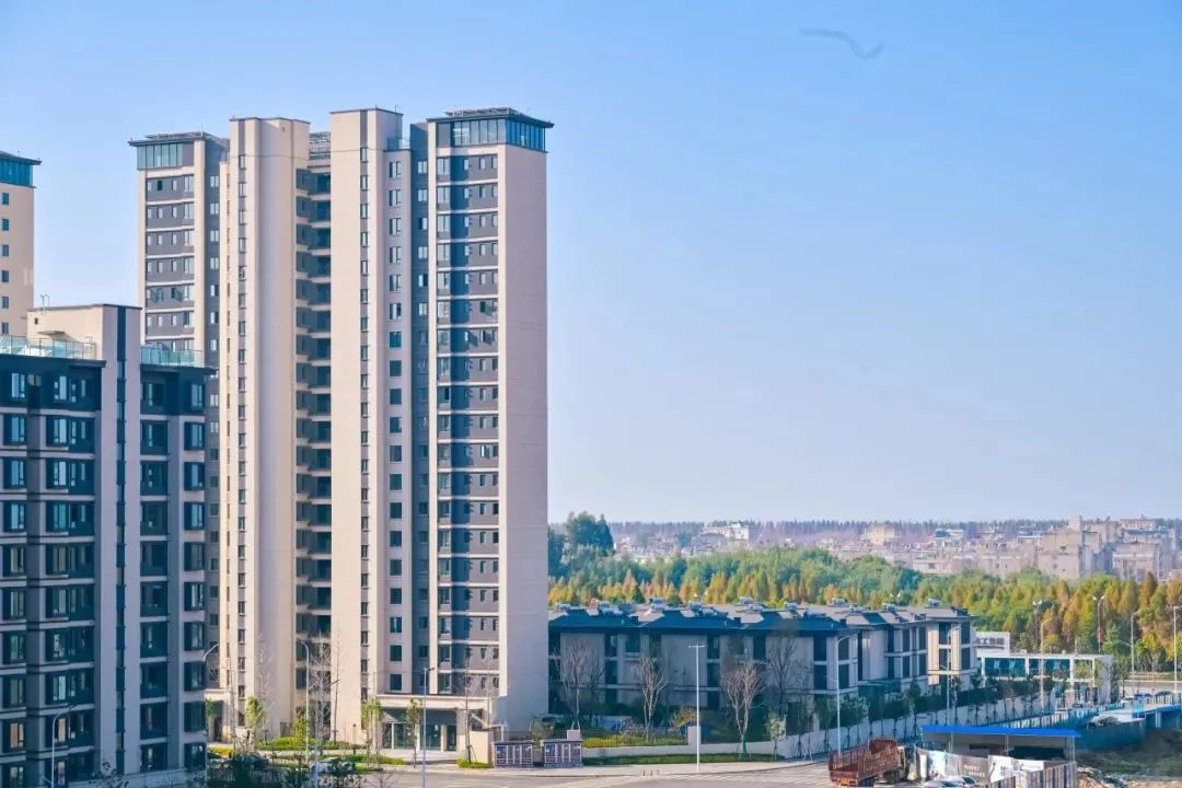 202403041552155442959