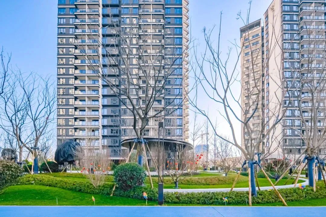 202403041552169193218