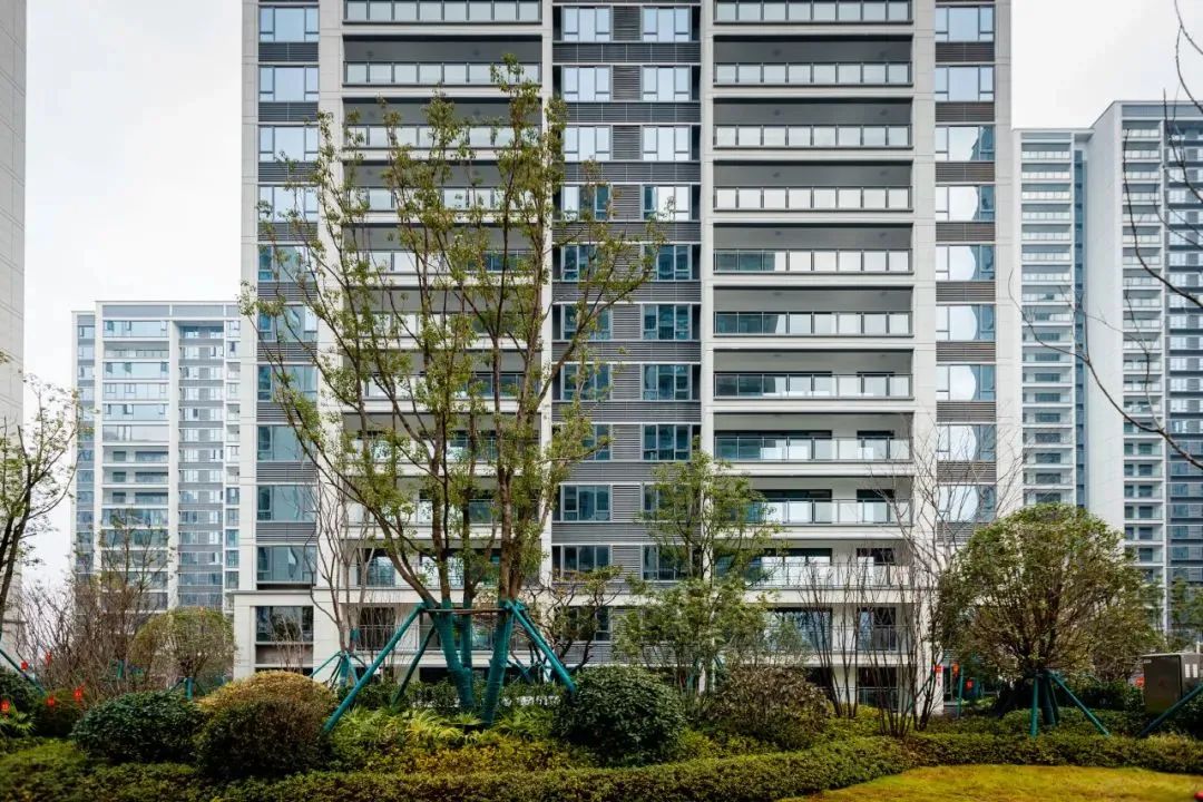 202403041552312081959