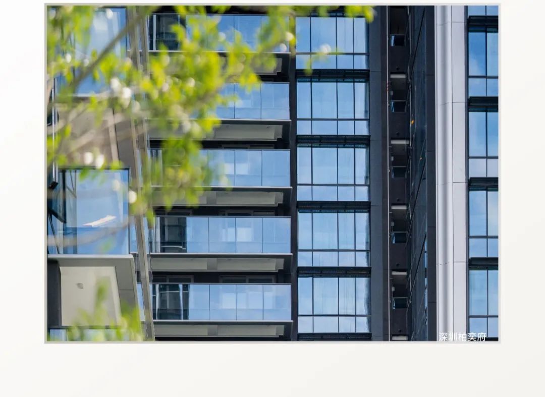 202501232226420622375