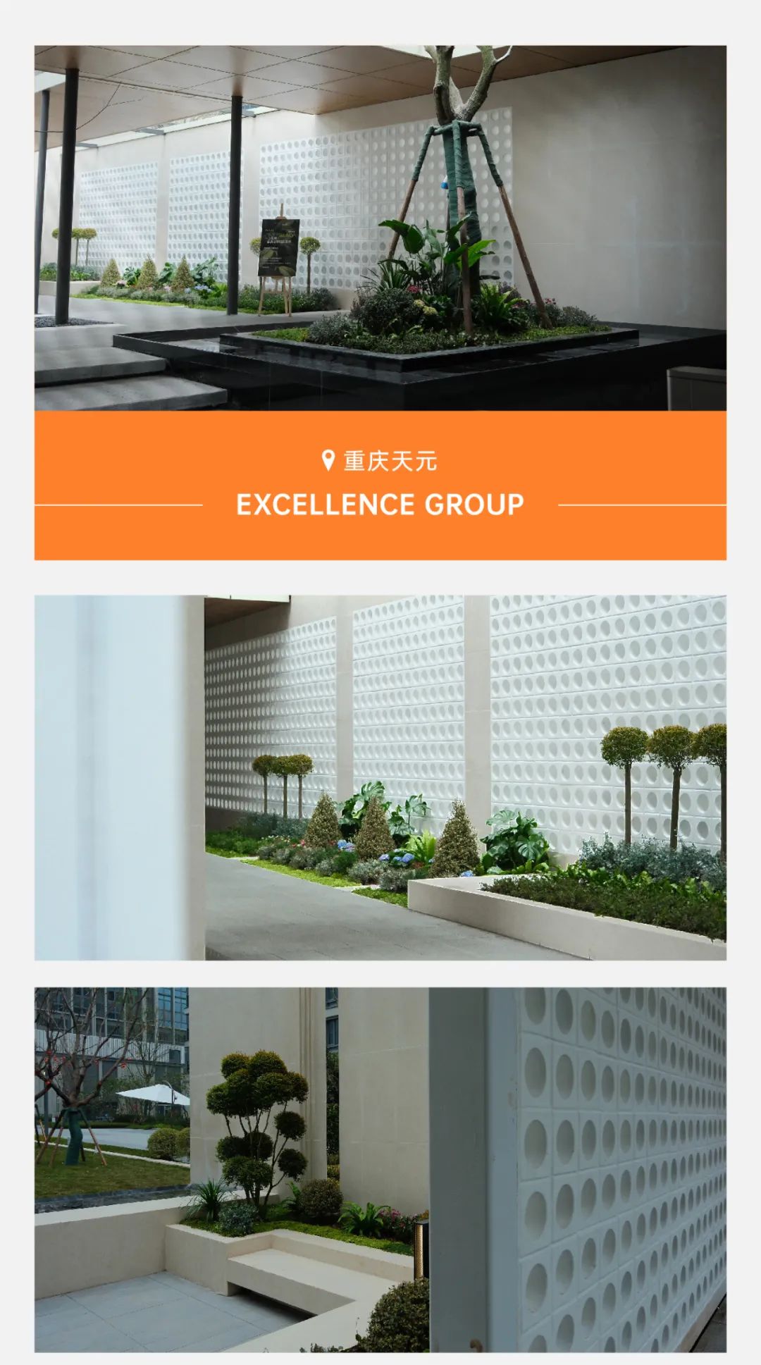 202501232229179063031