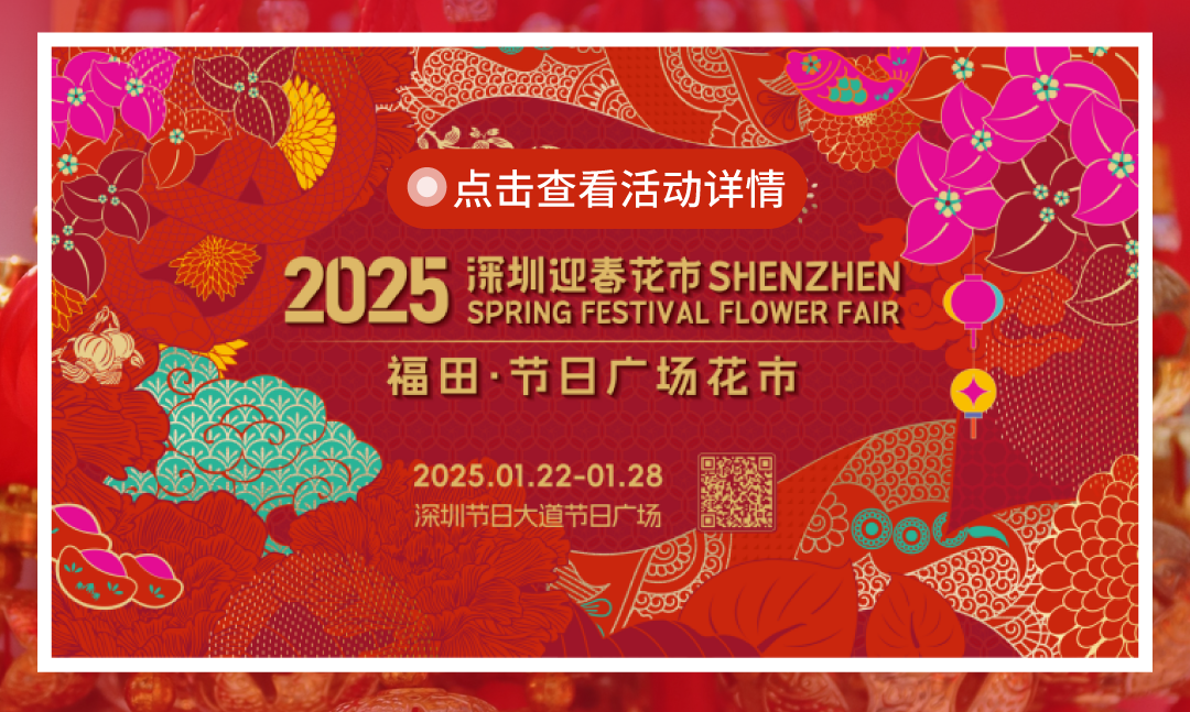 202502141522039389937