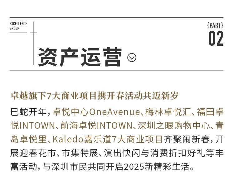 202503171057053696268