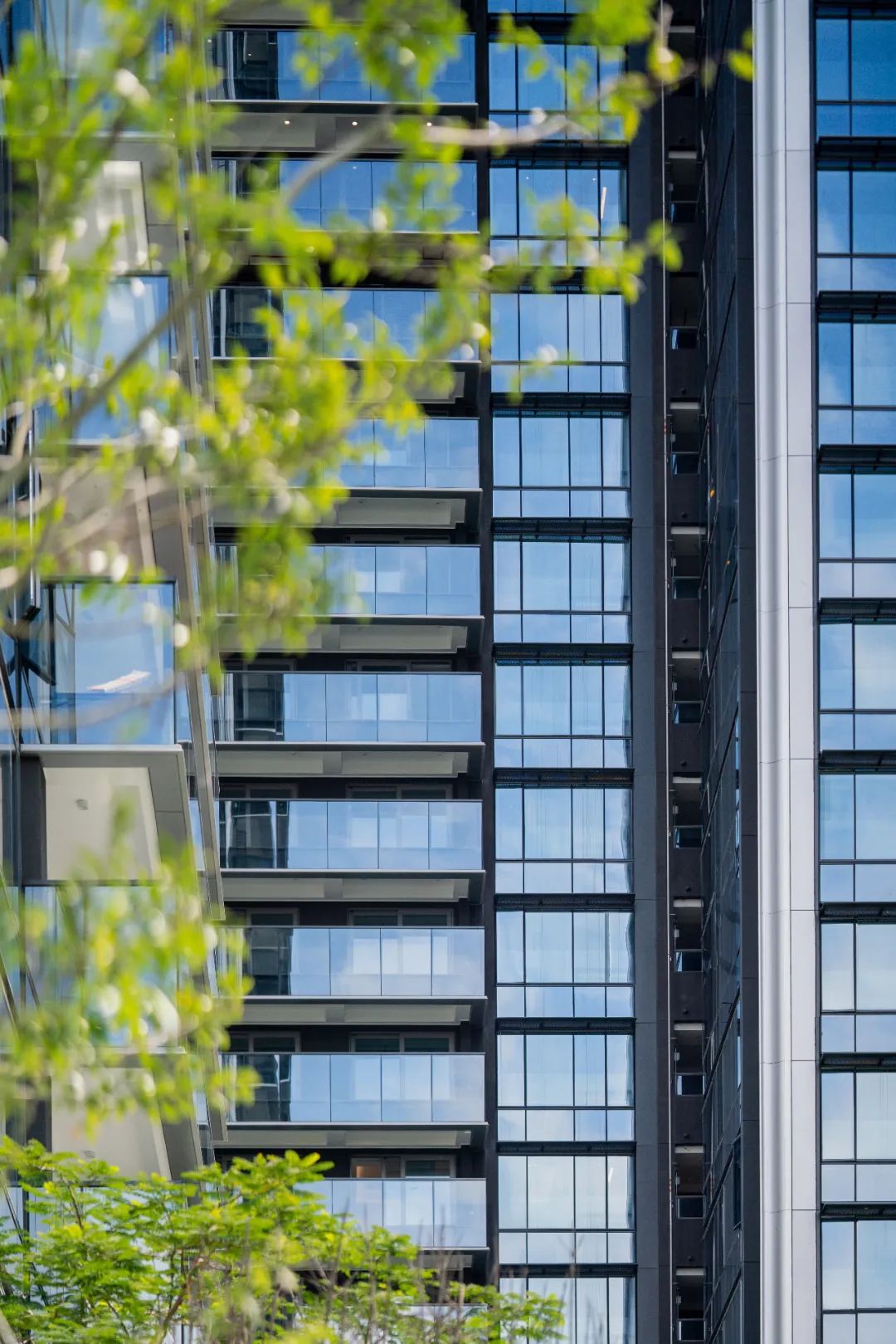 202503211546038692911