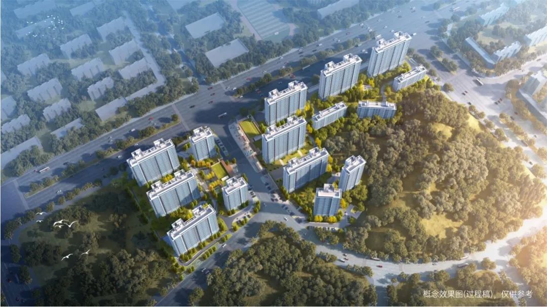 202503211546077129980